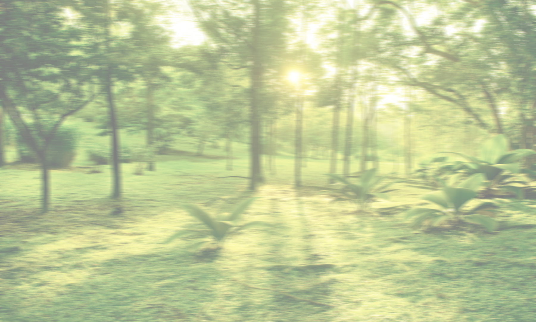 Hintergrundbild